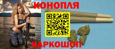сатива Беслан