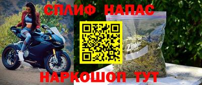 сатива Беслан