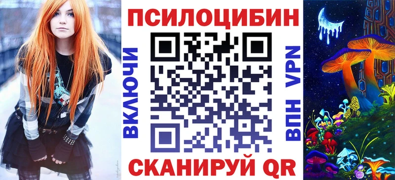 где найти   Апрелевка  MEGA ССЫЛКА  Псилоцибиновые грибы Cubensis 