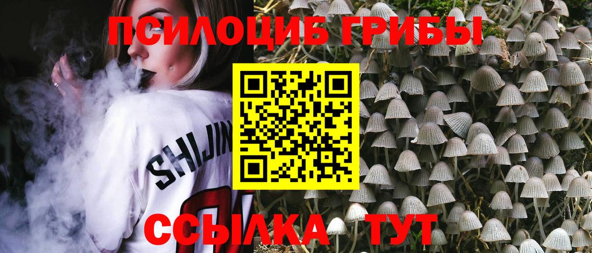 Апрелевка  цены   Вход с VPN  Галлюциногенные грибы ЛСД 