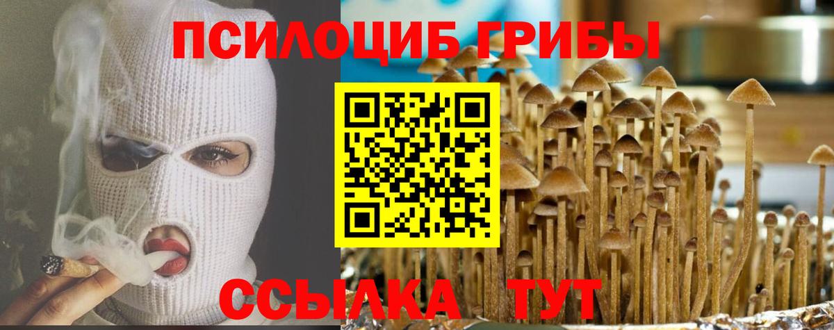 Псилоцибиновые грибы GOLDEN TEACHER Апрелевка