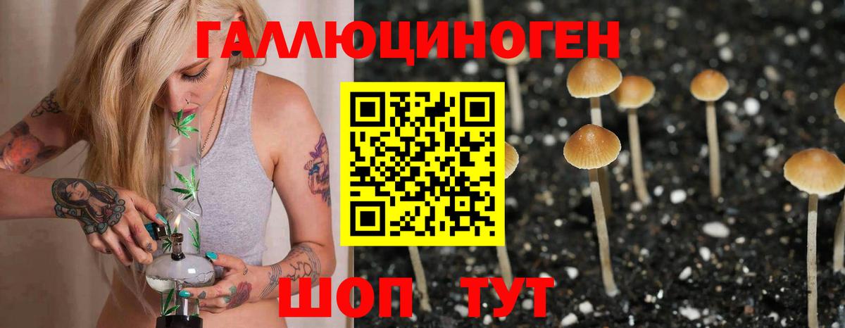 Каннабис  Герыч  Альфа ПВП  Диски  Апрелевка  МДМА  Каннабис  Кетыч  ГАШИШ  КОКАИН  Вход с VPN  Меф 