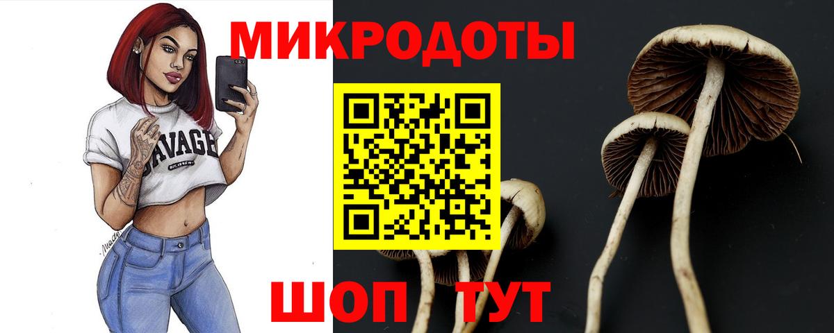Псилоцибиновые грибы мухоморы  Вход с VPN  купить   Апрелевка 